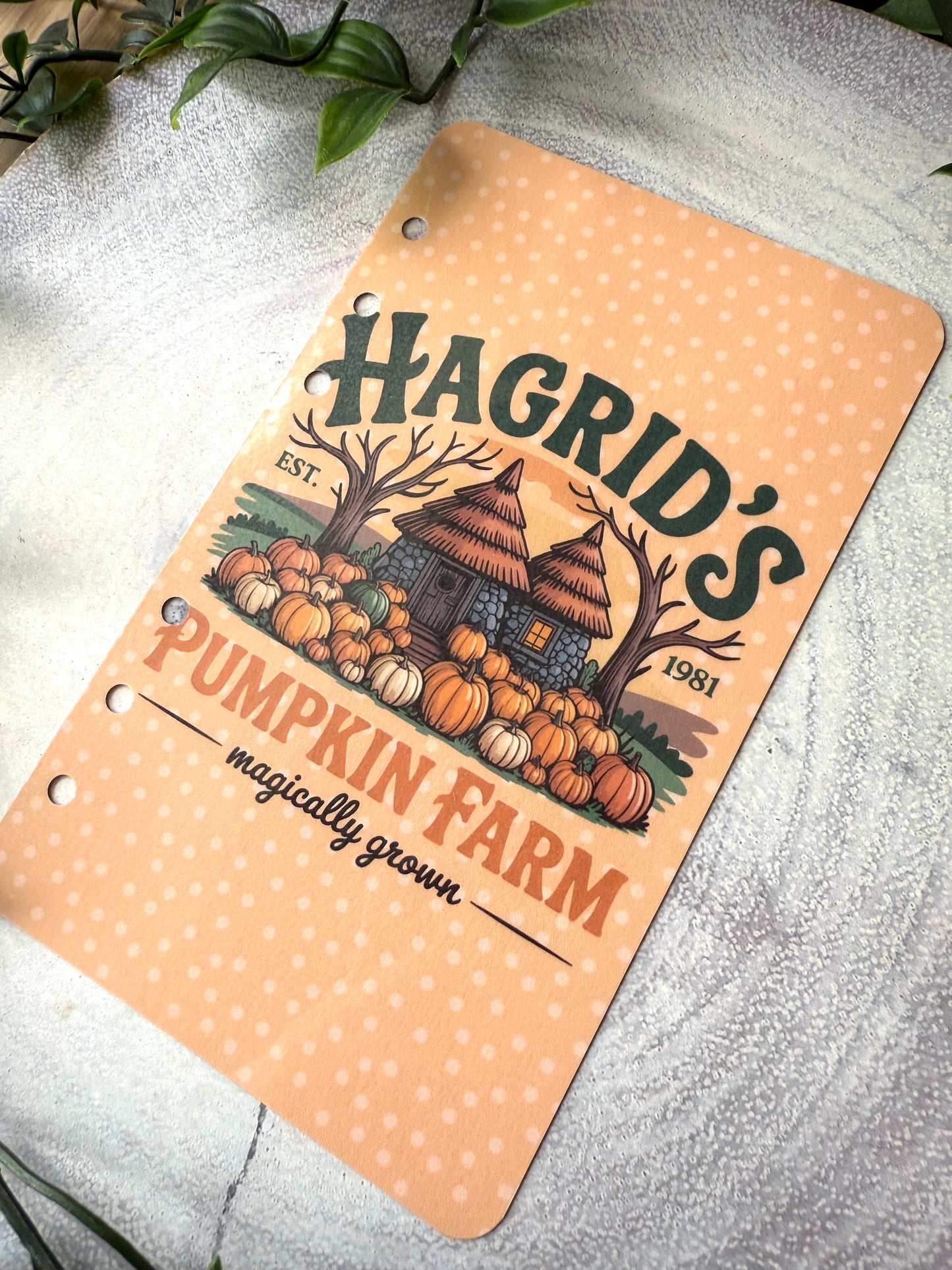 Hagrid's Pumpkin Farm Dashboard