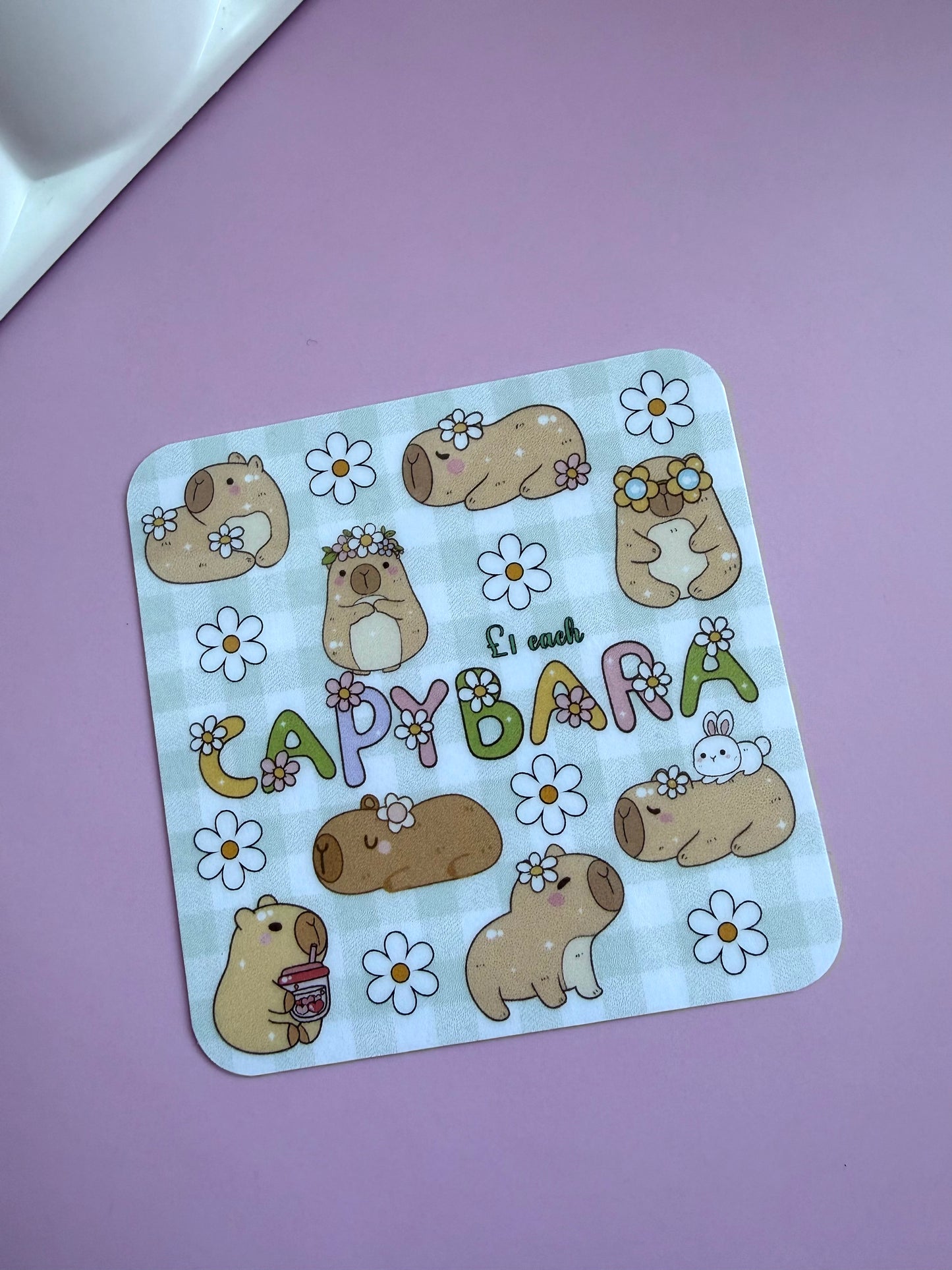Capybara Mini